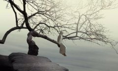 思别人须眉找27年前的初恋还钱 